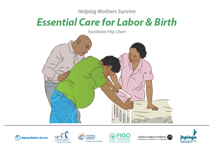 ecl-b-cover Helping Mothers Survive Essential Care for Labor & Birth (HMS ECL&B)